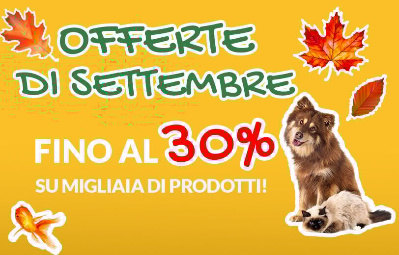 Scopri i prodotti e fai scorta!